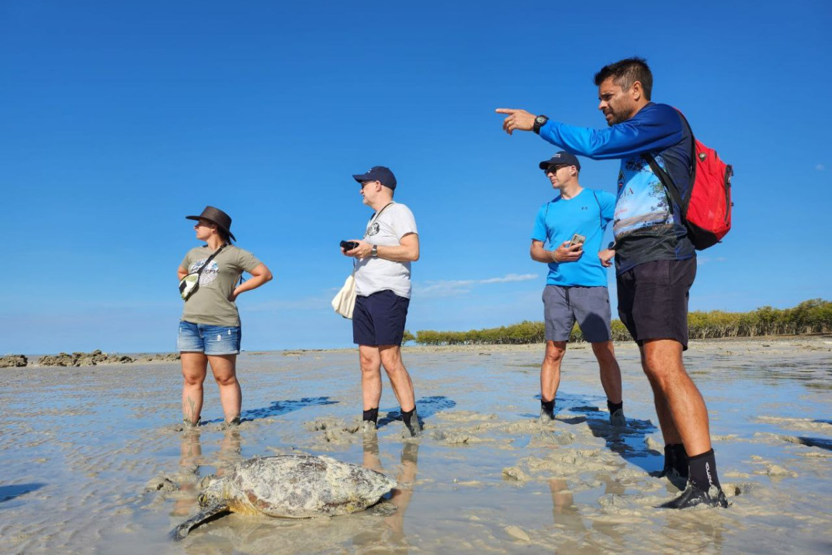 aboriginal experience