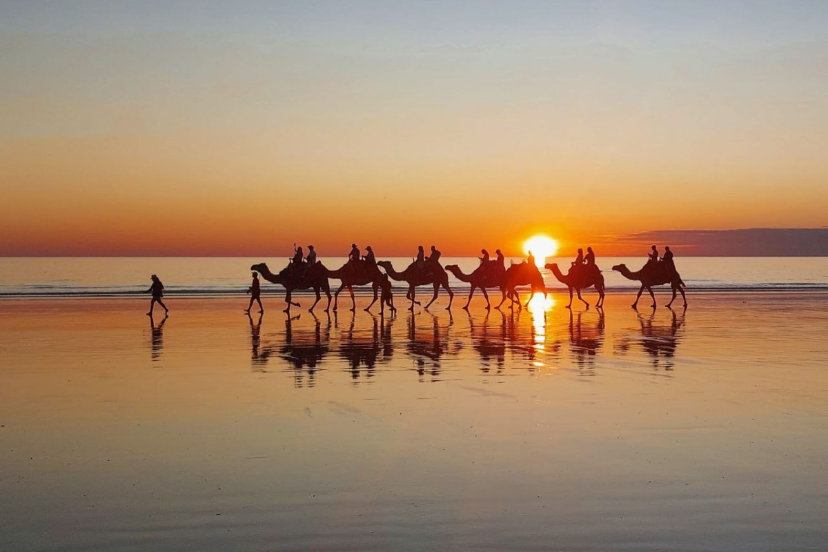 Broome Camels at sunset