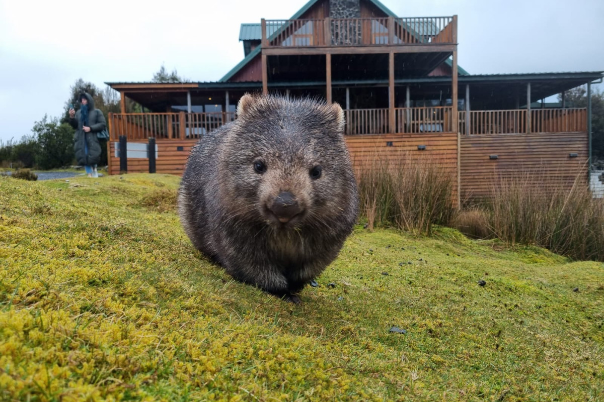 Tasmania